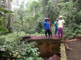 Diversification of farming techniques for productivity in the Mbonge land